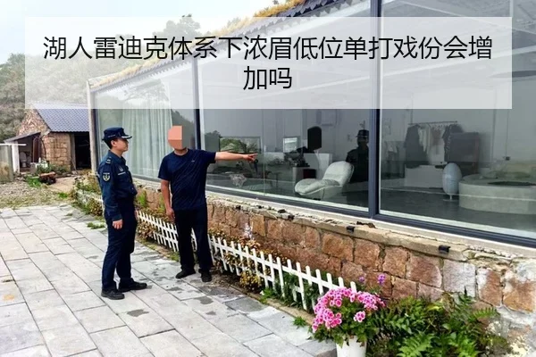 湖人雷迪克体系下浓眉低位单打戏份会增加吗